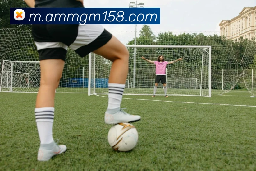 美高梅mgm平台生态图